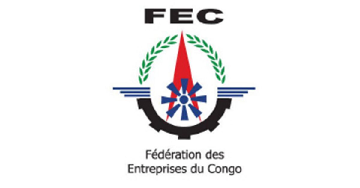 FEC : Effets de la pandémie de Coronavirus sur les activités économique FEC : Effets de la pandémie de Coronavirus sur les activités économique